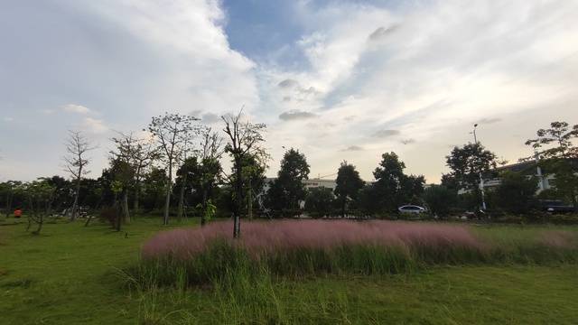 场地相册封面
