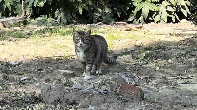 场地相册封面