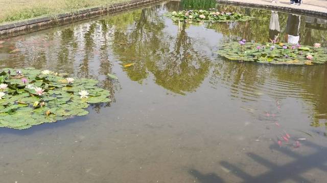 场地相册封面