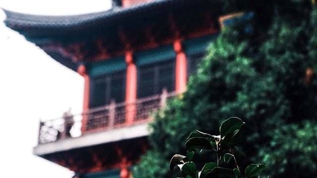 场地相册封面