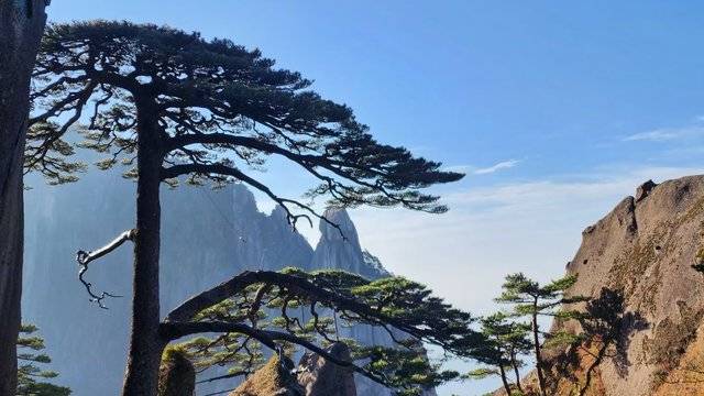 场地相册封面