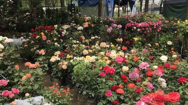 场地相册封面