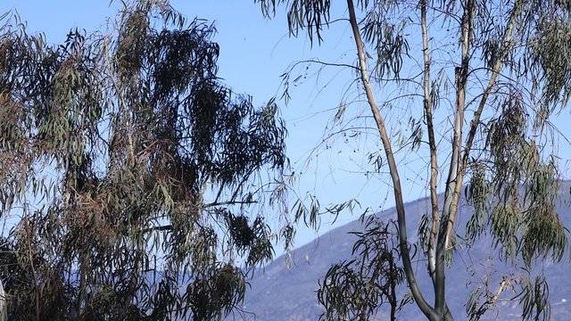 场地相册封面