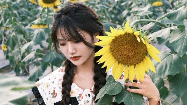场地相册封面