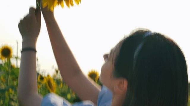 场地相册封面