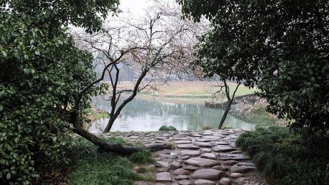 场地相册封面
