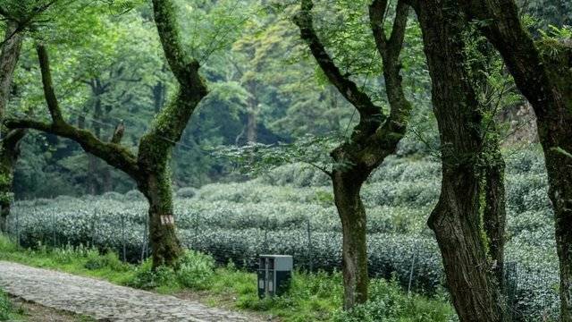 场地相册封面
