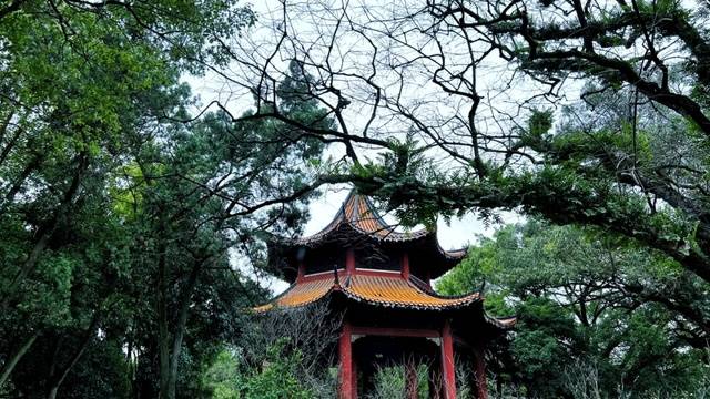 场地相册封面