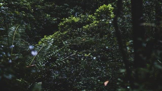 场地相册封面