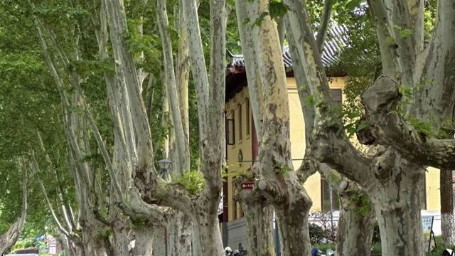 场地相册封面