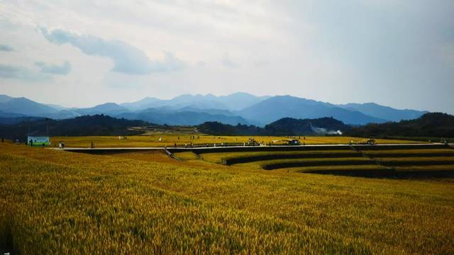 场地相册封面
