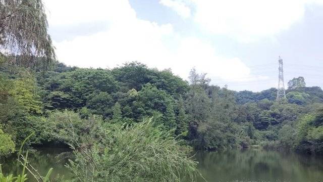 场地相册封面