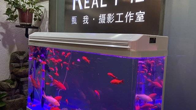 场地相册封面