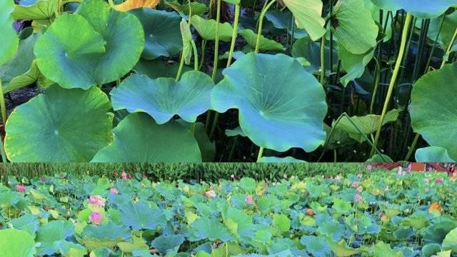 场地相册封面