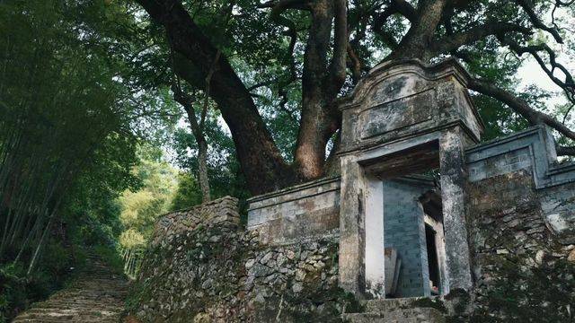 场地相册封面