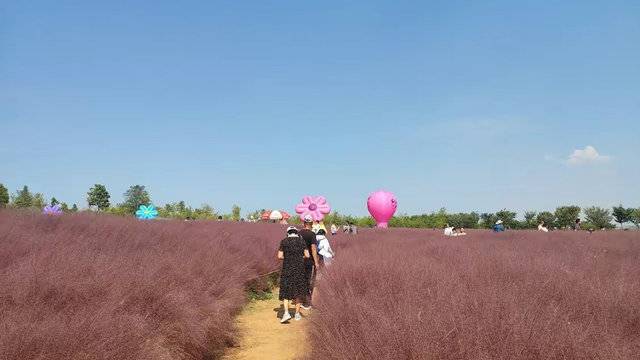 场地相册封面