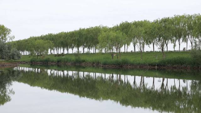 场地相册封面