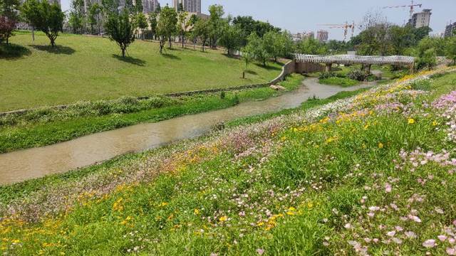 场地相册封面
