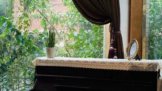 场地相册封面