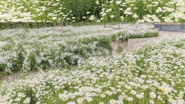 场地相册封面