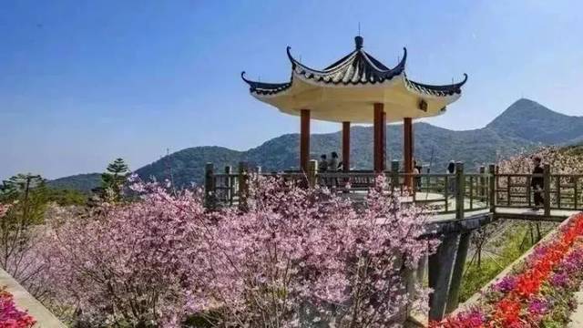 场地相册封面