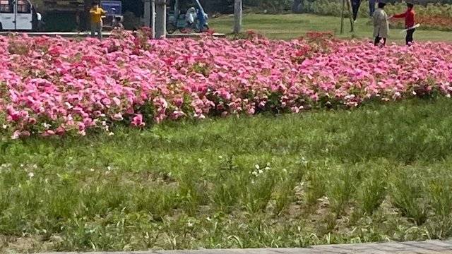 场地相册封面
