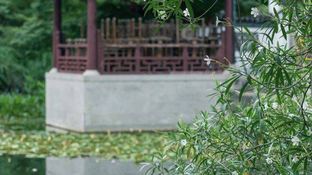 场地相册封面