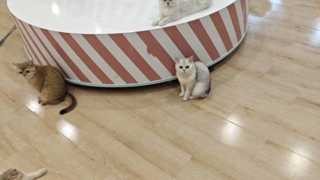 场地相册封面