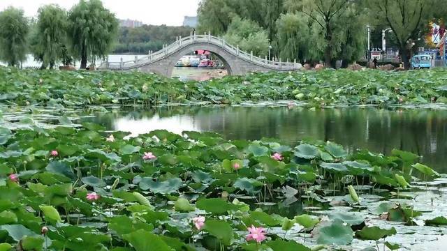场地相册封面