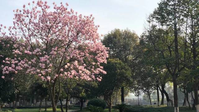 场地相册封面