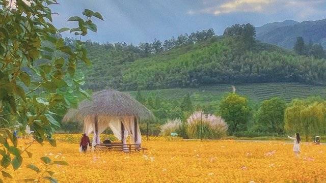 场地相册封面