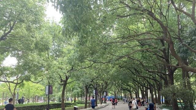 场地相册封面
