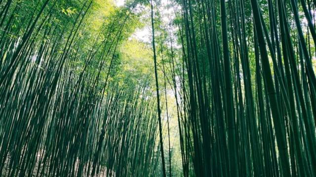 场地相册封面