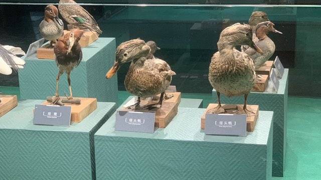场地相册封面