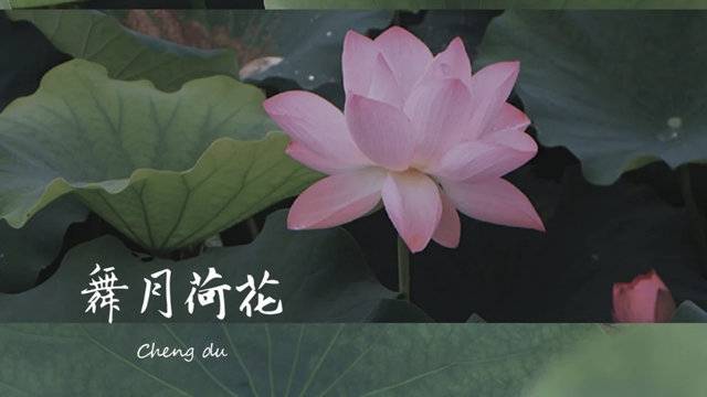 场地相册封面