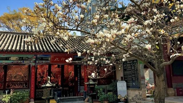场地相册封面