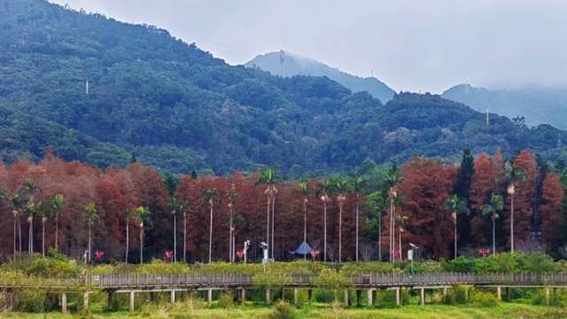 场地相册封面