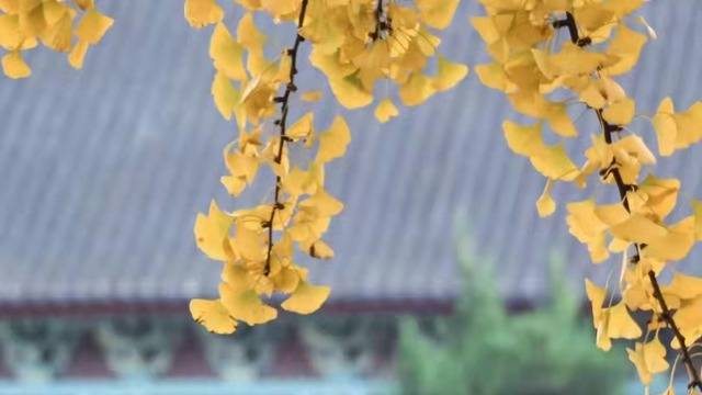 场地相册封面