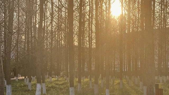 场地相册封面
