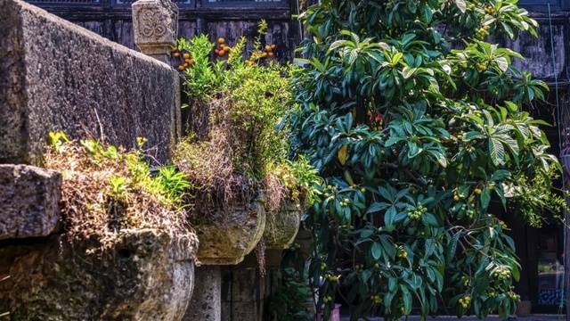 场地相册封面