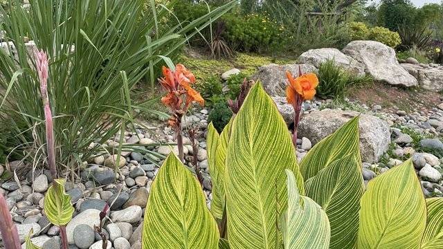 场地相册封面