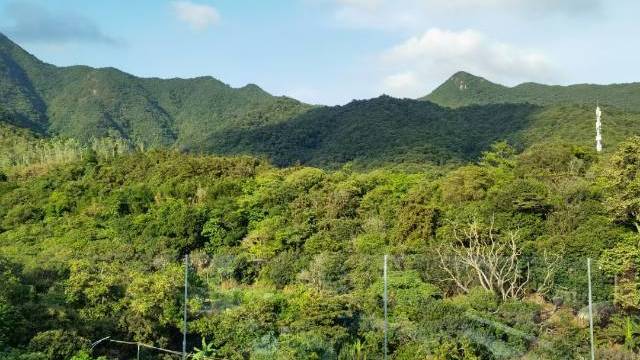 场地相册封面