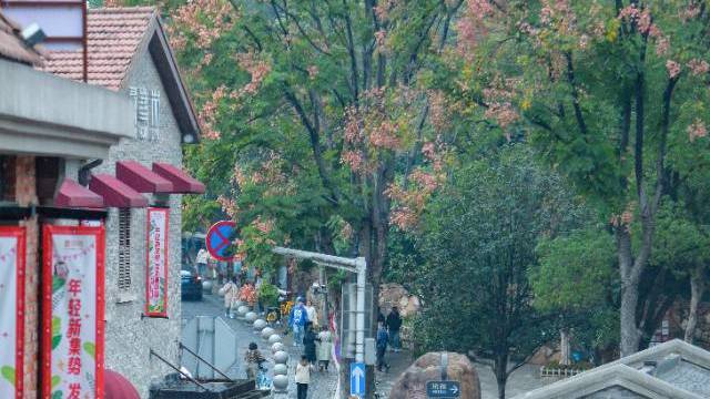 场地相册封面