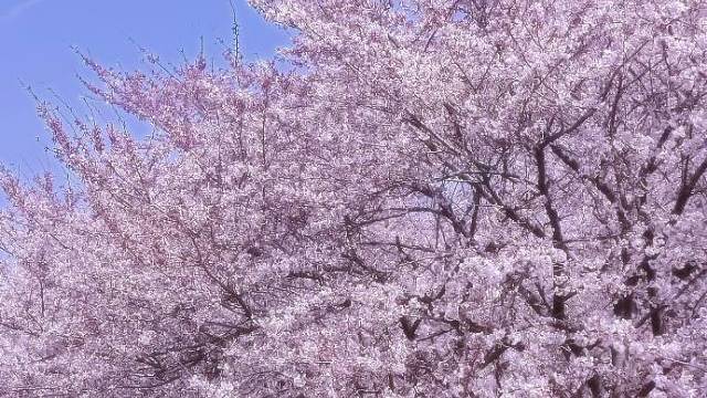 场地相册封面
