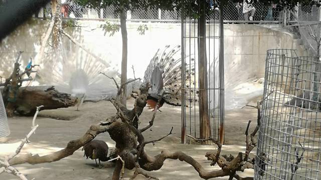 场地相册封面