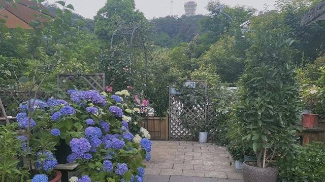 场地相册封面