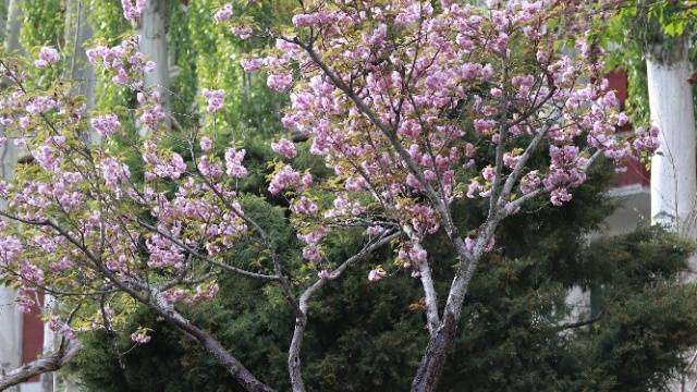 场地相册封面