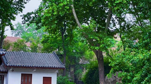 场地相册封面