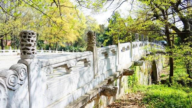 场地相册封面