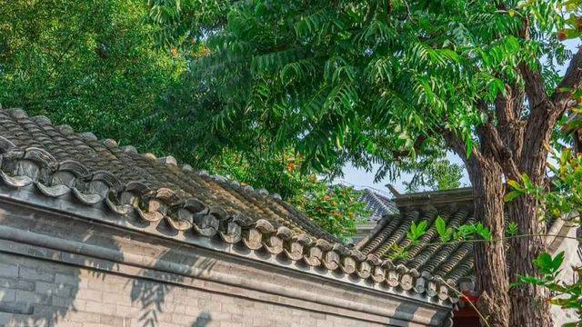 场地相册封面